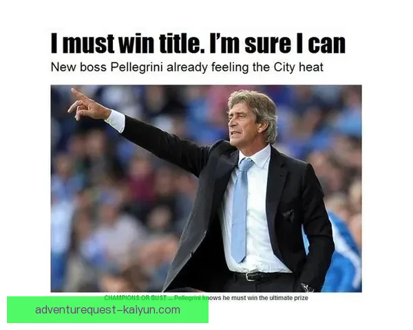 佩莱格里尼在曼城时期表现稳定，带队获得英超冠军及国内杯赛荣誉。