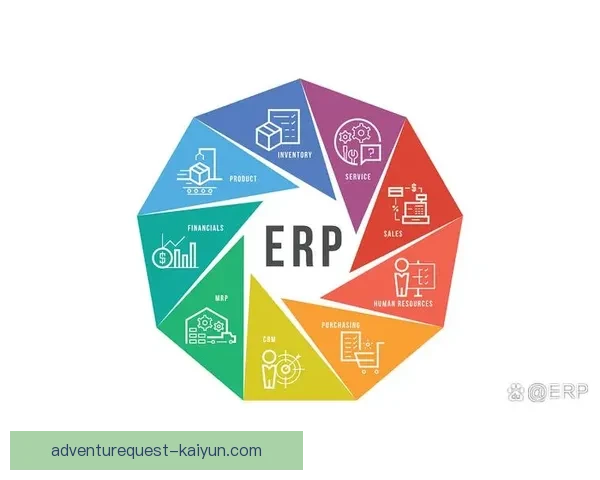 卡马文加在职业生涯中的成长关键因素分析与表现趋势探讨